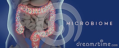 Human microbiome large intestine filled with bacteria. Title: `Digestive System` Cartoon Illustration