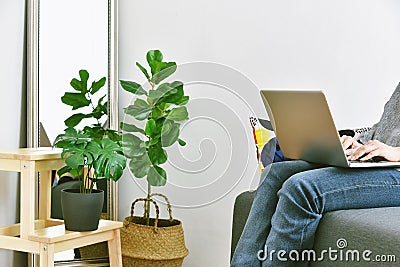 Human and nature, Houseplants growing in living room for indoor air purification and home decorative, Woman working from home Stock Photo