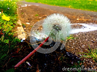 Human and nature Stock Photo