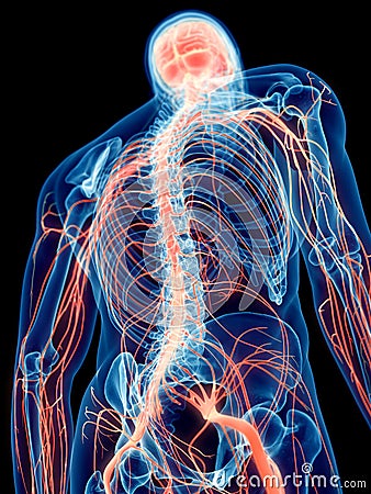 The human nerves Cartoon Illustration