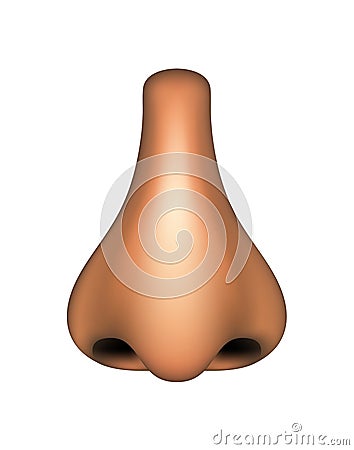 Human nose Vector Illustration