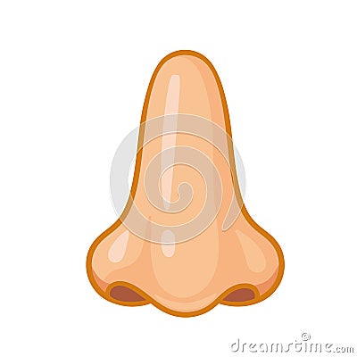 Human nose close-up on a white background Vector illustration with a part of the human body Vector Illustration