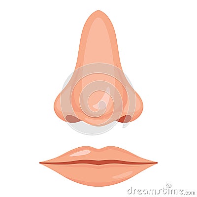 Human nose and mouth Vector Illustration