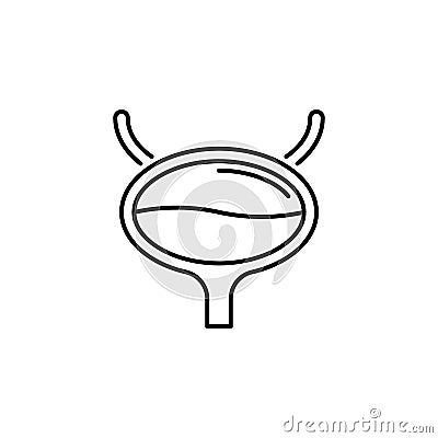 Human organ bladder outline icon. Signs and symbols can be used for web, logo, mobile app, UI, UX Vector Illustration