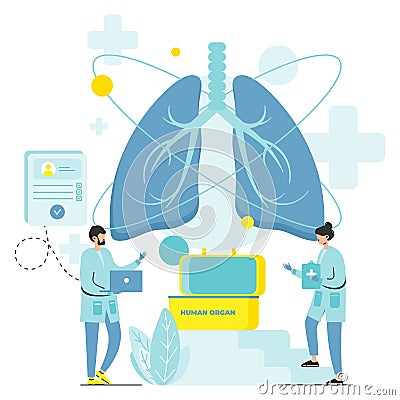 Human organ donor vector lung transplant donation Stock Photo