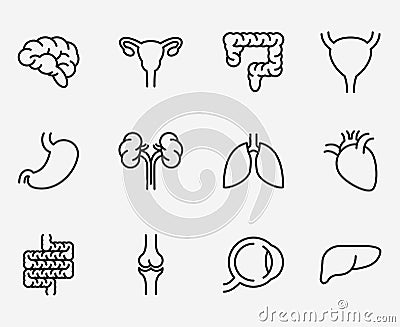 Human organ icons or organs symbols Vector Illustration