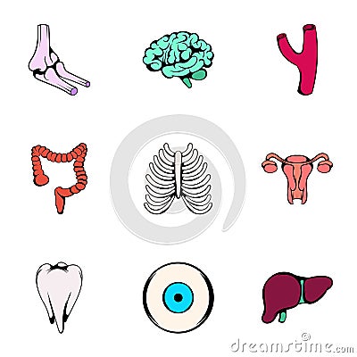 Human organ icons set, cartoon style Vector Illustration