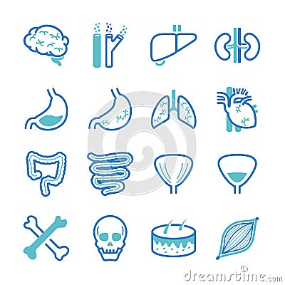 Human organ icons set Vector Illustration