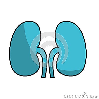 Human organ kidneys icon Vector Illustration