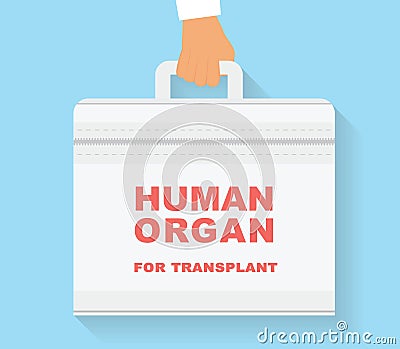 Human organ for transplant bag. Transplantation conceptual illustration. Vector Illustration