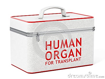 Human organ for transplant box. 3D illustration Cartoon Illustration