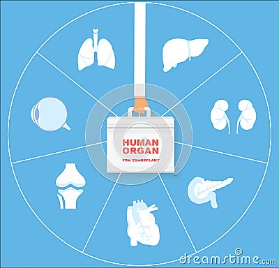 Human organ for transplant icon set. Transplantation of organs concept. Vector Illustration