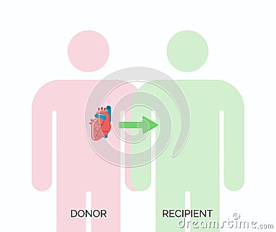 Human organ transplantation concept Vector Illustration