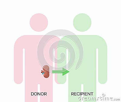 Human organ transplantation concept Vector Illustration