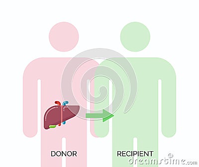 Human organ transplantation concept Vector Illustration