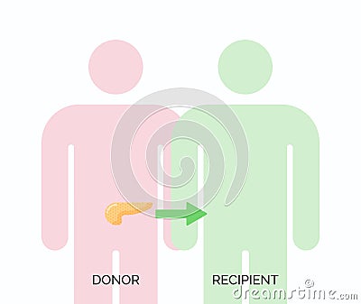 Human organ transplantation concept Vector Illustration