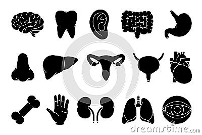Human organs black sketch set. Brain, tooth, ear, intestines, stomach, nose, liver, bladder, heart, bone, hand, kidneys Vector Illustration