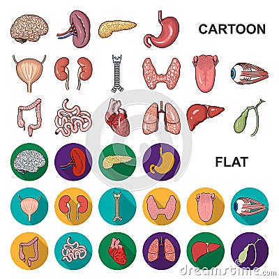 Human organs cartoon icons in set collection for design. Anatomy and internal organs vector symbol stock web Vector Illustration