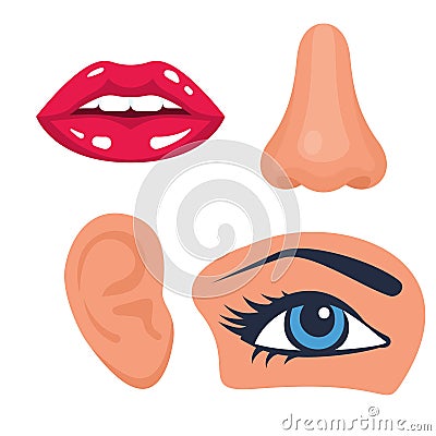Human organs and face parts, collection set, lips, nose, eye, ear. Vector Illustration