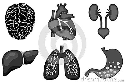 Human organs Cartoon Illustration