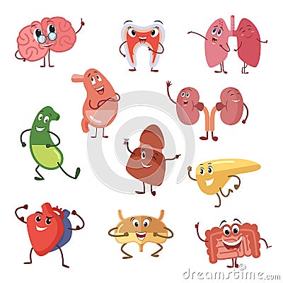 Human organs with funny emotions. Cartoon vector illustration isolate on white background Vector Illustration