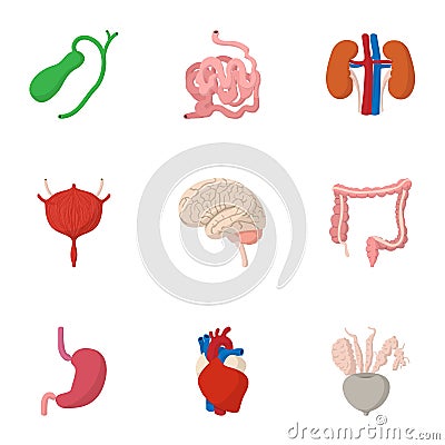 Human organs icons set, cartoon style Vector Illustration