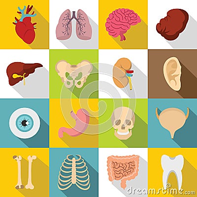 Human organs icons set, flat style Vector Illustration