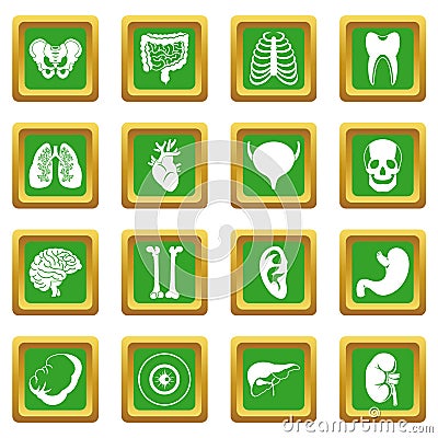 Human organs icons set green Vector Illustration