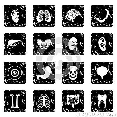 Human organs icons set Vector Illustration