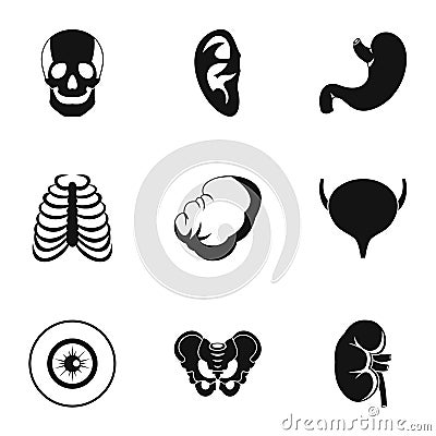 Human organs icons set, simple style Vector Illustration