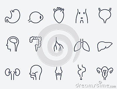 Human organs icons set Vector Illustration