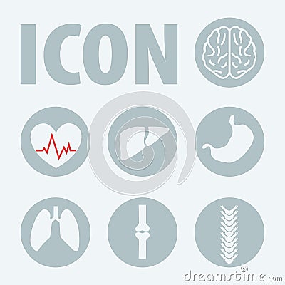 Human organs icons, vector Vector Illustration