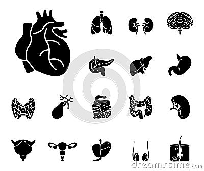 Human Organs - Iconset - Icons Stock Photo