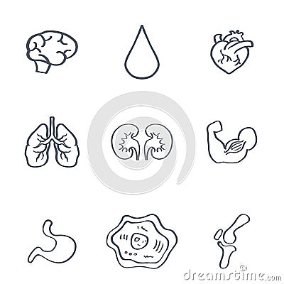 Human Organs Medical Icons Vector Vector Illustration