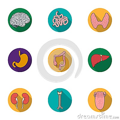 Human organs set icons in flat style. Big collection of human organs vector symbol Vector Illustration