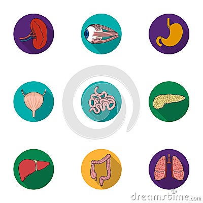 Human organs set icons in flat style. Big collection of human organs vector symbol Vector Illustration