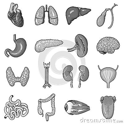Human organs set icons in monochrome style. Big collection of human organs vector symbol stock illustration Vector Illustration
