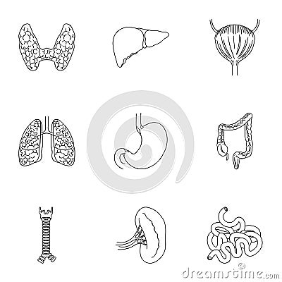 Human organs set icons in outline style. Big collection of human organs vector symbol stock illustration Vector Illustration