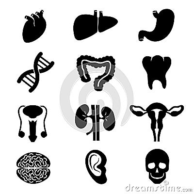 Human organs vector black icons set Vector Illustration