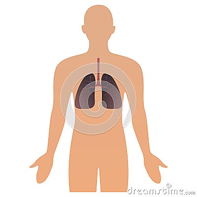 Human organs vector illustration. human anatomical man silhouette with organ. lungs. illustration concept Healthcare. Vector Illustration