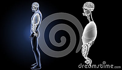 Human organs zoom with body lateral view Stock Photo