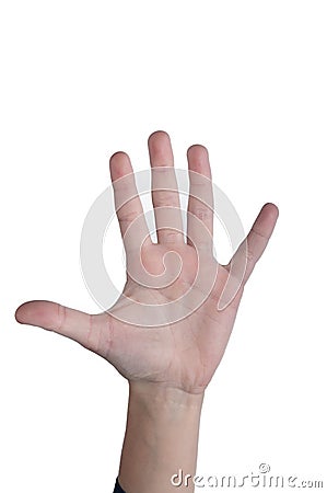 Human palm and five fingers up. Isolate Stock Photo