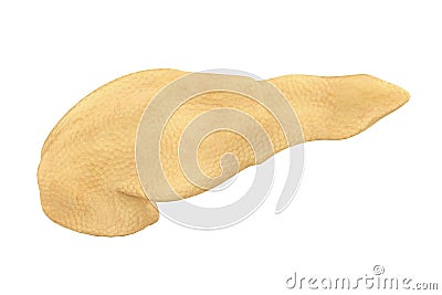 Human Pancreas Anatomy Illustration Stock Photo