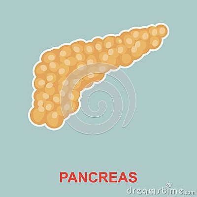 Human pancreas anatomy. Vector Illustration