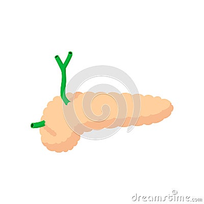 Human pancreas cartoon icon Vector Illustration
