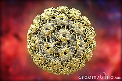 Human papillomavirus Stock Photo