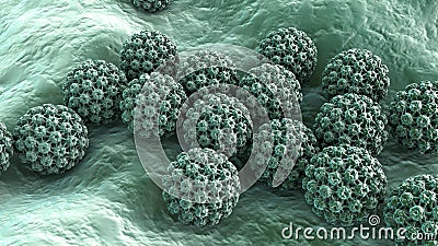 Human papillomavirus, a virus which causes warts Cartoon Illustration