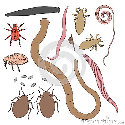 Human parasites Cartoon Illustration