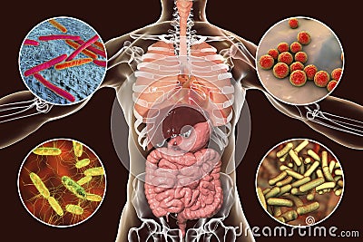 Human pathogenic microbes, respiratory and enteric pathogens Cartoon Illustration