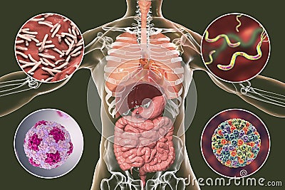 Human pathogenic microbes, respiratory and enteric pathogens Cartoon Illustration